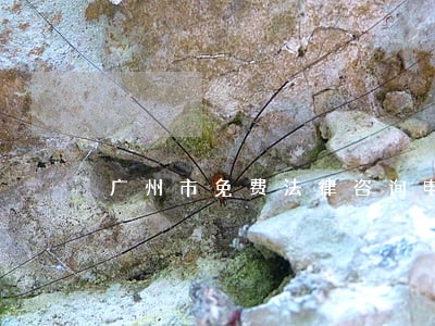 广州市免费法律咨询电话