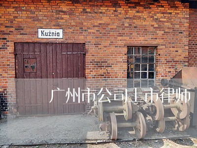 广州市公司上市律师 广州市公司上市律师