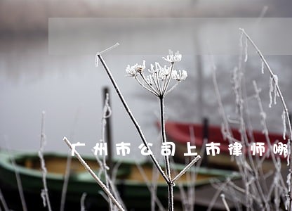 广州市公司上市律师哪里找 广州市公司上市律师哪里找