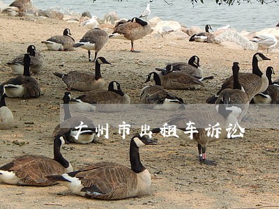 广州市出租车诉讼