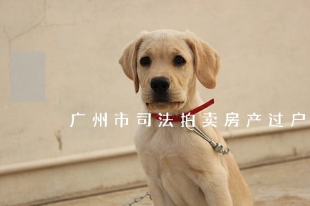 广州市司法拍卖房产过户手续 广州市司法拍卖房产过户手续