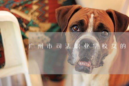 广州市司法职业学校女的可以吗 广州市司法职业学校女的可以吗