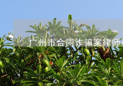 广州市合同诈骗案律师咨询微信 广州市合同诈骗案律师咨询微信