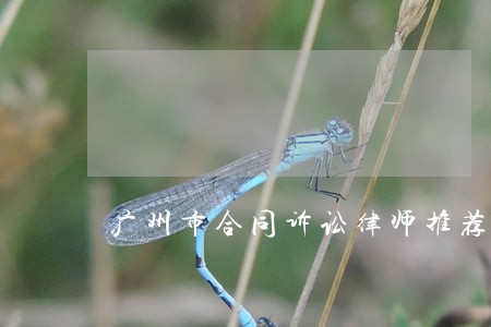 广州市合同诉讼律师推荐 广州市合同诉讼律师推荐