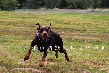 广州市增城恒炬法律咨询服务部 广州市增城恒炬法律咨询服务部