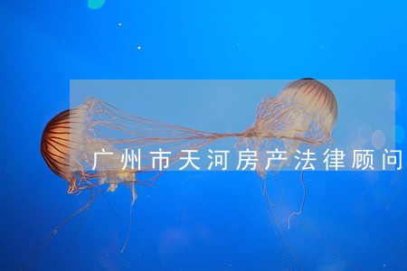 广州市天河房产法律顾问 广州市天河房产法律顾问