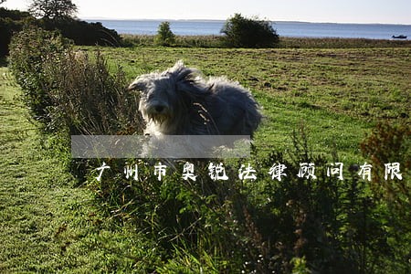 广州市奥锐法律顾问有限公司 广州市奥锐法律顾问有限公司
