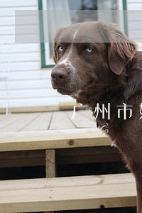 广州市妇联法律援助电话 广州市妇联法律援助电话