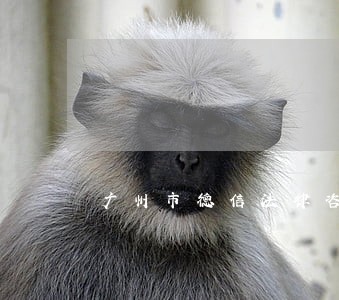 广州市德信法律咨询 广州市德信法律咨询
