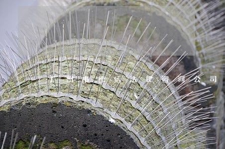 广州市德信法律咨询公司 广州市德信法律咨询公司