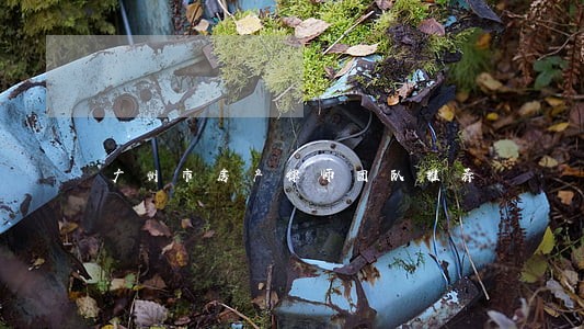广州市房产律师团队推荐 广州市房产律师团队推荐