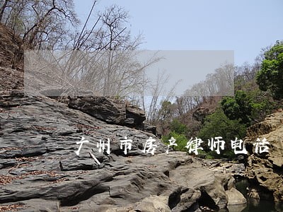 广州市房产律师电话 广州市房产律师电话