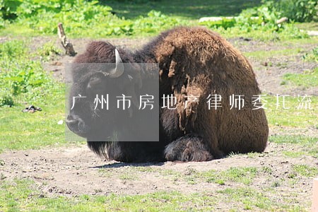 广州市房地产律师委托流程 广州市房地产律师委托流程