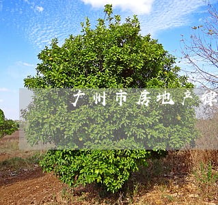 广州市房地产律师有哪些 广州市房地产律师有哪些