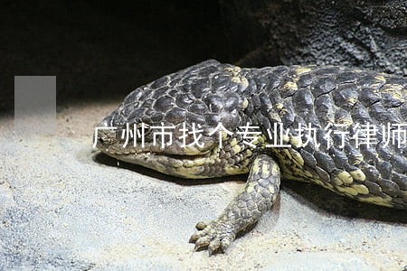 广州市找个专业执行律师如何收费 广州市找个专业执行律师如何收费