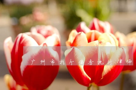 广州市找个债务执行律师 广州市找个债务执行律师