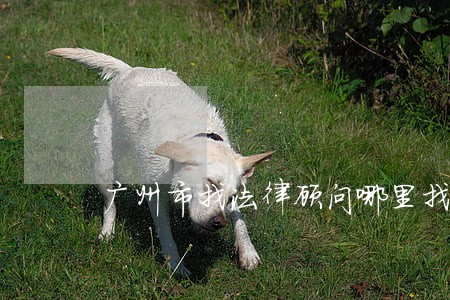广州市找法律顾问哪里找 广州市找法律顾问哪里找