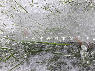 广州市新锦龙公司诉讼案 广州市新锦龙公司诉讼案