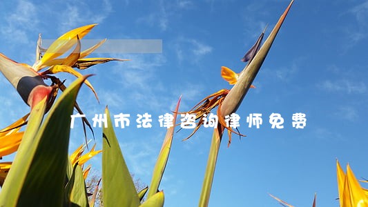 广州市法律咨询律师免费 广州市法律咨询律师免费