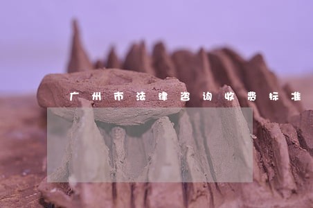广州市法律咨询收费标准 广州市法律咨询收费标准