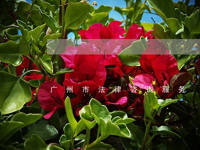 广州市法律咨询服务 广州市法律咨询服务