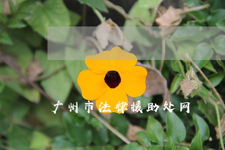 广州市法律援助处网 广州市法律援助处网