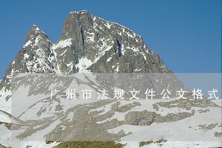 广州市法规文件公文格式 广州市法规文件公文格式
