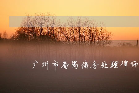 广州市番禺债务处理律师 广州市番禺债务处理律师