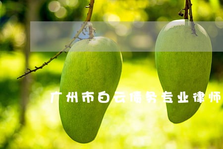 广州市白云债务专业律师 广州市白云债务专业律师