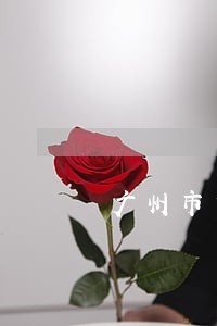 广州市白云法院档案室 广州市白云法院档案室