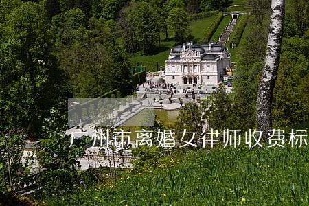 广州市离婚女律师收费标准 广州市离婚女律师收费标准
