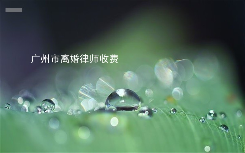 广州市离婚律师收费 广州市离婚律师收费