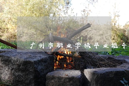 广州市职业学校毕业能干嘛