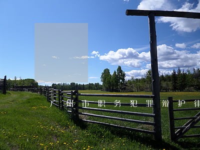 广州市职务犯罪辩护律师收费 广州市职务犯罪辩护律师收费