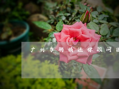 广州市聘请法律顾问团队