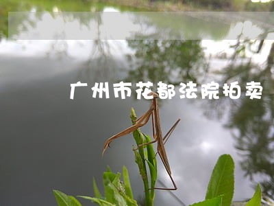 广州市花都法院拍卖
