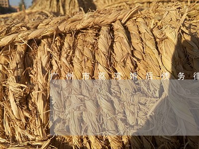 广州市荔湾婚后债务律师 广州市荔湾婚后债务律师