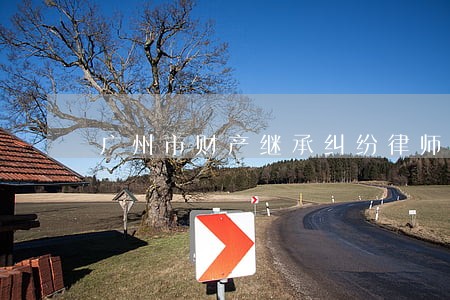 广州市财产继承纠纷律师网站 广州市财产继承纠纷律师网站