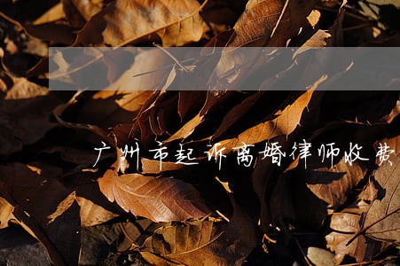 广州市起诉离婚律师收费标准