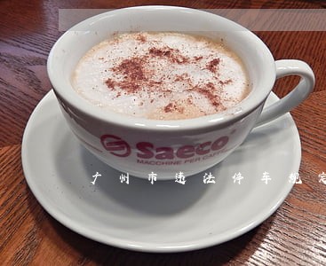 广州市违法停车规定