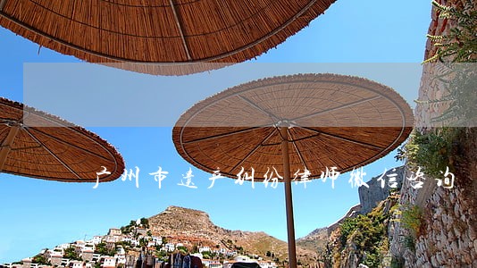 广州市遗产纠纷律师微信咨询 广州市遗产纠纷律师微信咨询