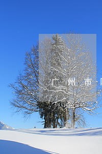 广州市阶梯电费法规 广州市阶梯电费法规