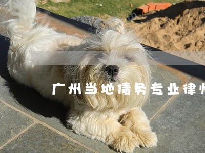 广州当地债务专业律师哪个好 广州当地债务专业律师哪个好