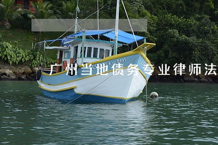 广州当地债务专业律师法律咨询 广州当地债务专业律师法律咨询