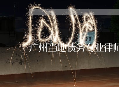 广州当地债务专业律师风险代理 广州当地债务专业律师风险代理