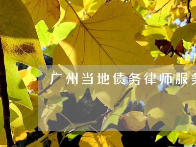 广州当地债务律师服务 广州当地债务律师服务