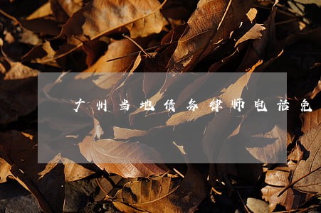 广州当地债务律师电话免费咨询 广州当地债务律师电话免费咨询
