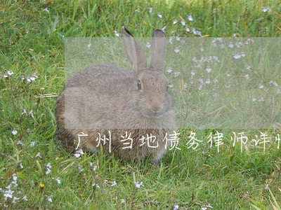 广州当地债务律师详情咨询 广州当地债务律师详情咨询
