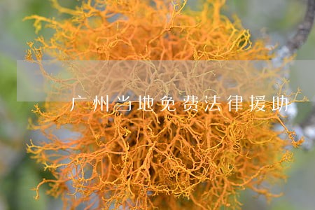 广州当地免费法律援助 广州当地免费法律援助