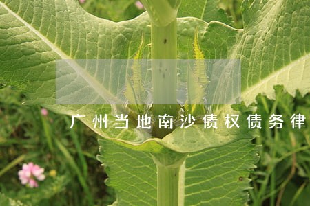 广州当地南沙债权债务律师 广州当地南沙债权债务律师